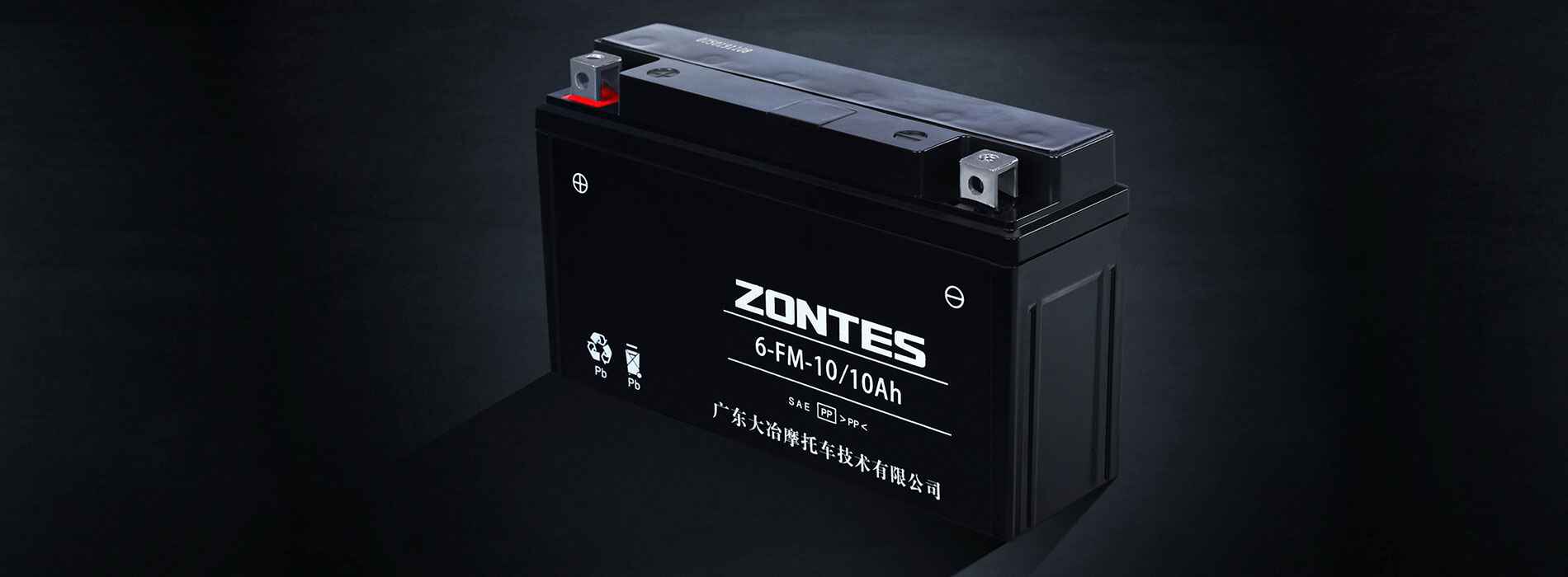 Largest-in-Segment 10AH Battery