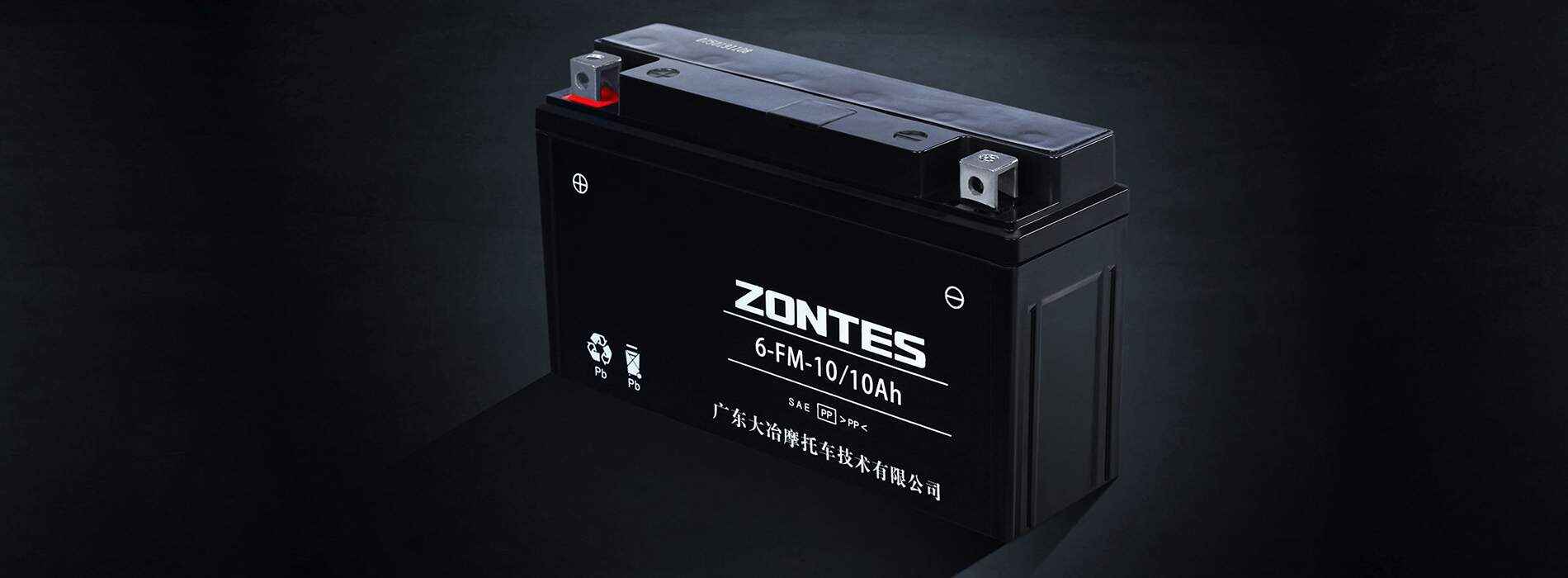 Largest-in-the segment Battery